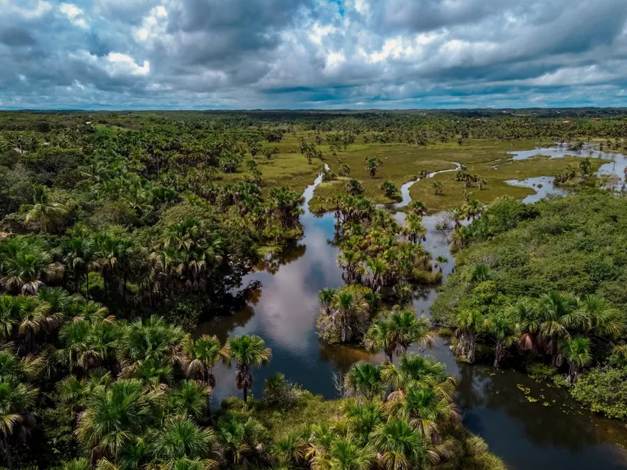 Rio Carrapato