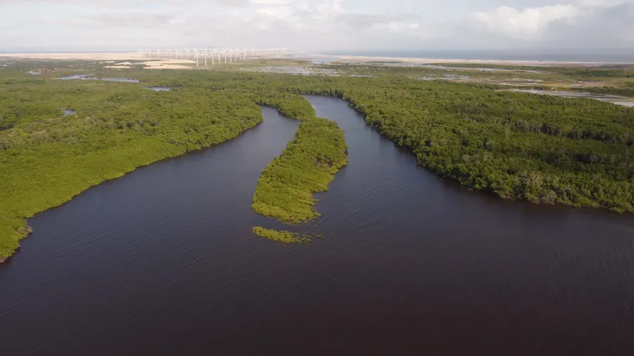 Paisagem do Rio Novo